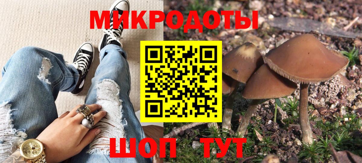 Галлюциногенные грибы Psilocybe  Вход с VPN  Галлюциногенные грибы мицелий  Ковров 